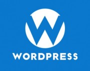 WordPress插件基础入门