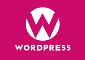 WordPress插件推荐：wp slug translate