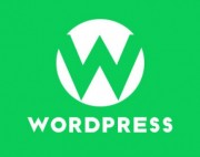 WordPress优化：禁用网站静态资源版本查询