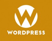 WordPress如何在第一篇日志后插入广告