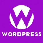 WordPress优化：禁用网站静态资源版本查询