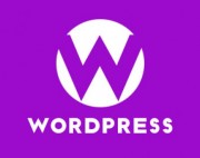 wordpress如何添加设置选项用于执行不同逻辑