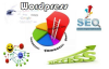 WordPress站点不得不做的SEO