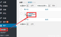 WordPress如何自定义作者名称