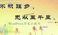 免插件统计WordPress文章阅读数