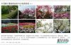 WordPress调用文章中所有图片的缩略图