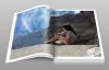 WordPress翻书主题Abook