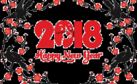 2018，陌小雨将继续伴你前行