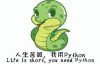 Python各领域框架介绍，如何少踩坑