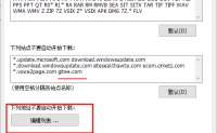 idm无法下载码云仓库文件