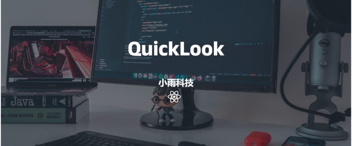 分享一个windows10、windows11万能文件预览工具：QuickLook