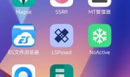 手机root后无法使用gpt,Play Integrity Verification Failed解决办法