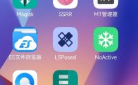 手机root后无法使用gpt,Play Integrity Verification Failed解决办法