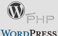 在WordPress文本小工具中运行PHP代码