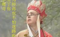 WordPress获取网站根目录、主题目录、插件目录路径和url地址