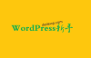 WordPress网站访问慢怎么办
